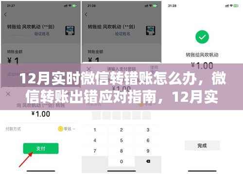 微信转账出错应对指南,12月实时操作策略与观点探讨