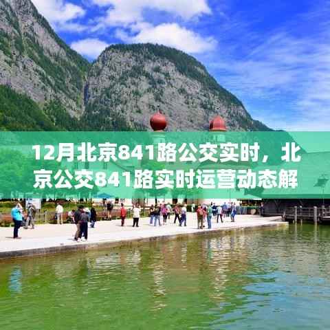 北京公交841路实时运营动态解析,十二月运营详解