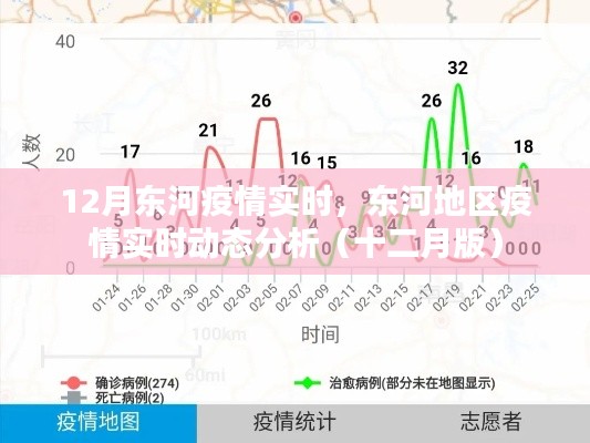 东河地区疫情实时动态分析报告,十二月版全面解析