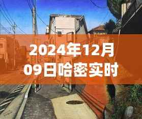 哈密小巷特色小店探秘，透过温度图片感受哈密韵味