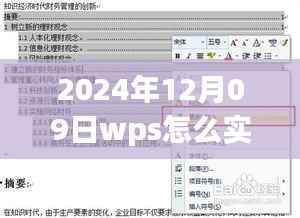 WPS实时编辑目录功能详解，操作指南与观点碰撞——2024年12月09日实战教程
