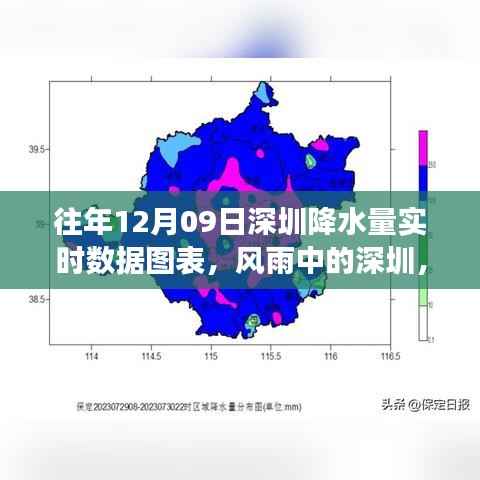 风雨中的深圳,一场励志的降水之旅实时数据图表展示往年变化与成长