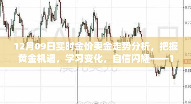 12月09日黄金美金走势解析,洞悉市场变化,把握黄金投资机遇