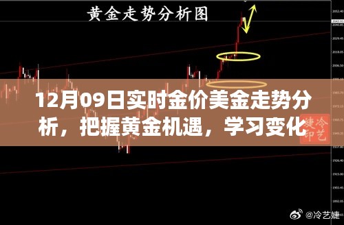 12月09日黄金美金走势解析,洞悉市场变化,把握黄金投资机遇