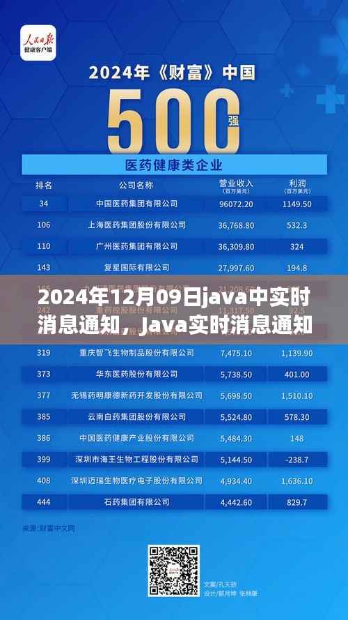 Java实时消息通知系统的发展与应用,观点分析与未来展望(2024年12月09日)