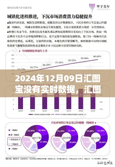 汇图宝数据缺失的技术解析与应对策略,实时数据缺失背后的探讨(2024年12月09日)