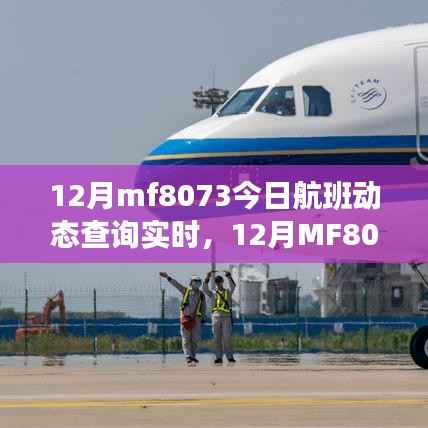 12月MF8073航班实时动态查询全攻略,从初识到精通