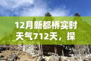 新都桥下的冬日奇遇，实时天气与巷弄小店的探索之旅