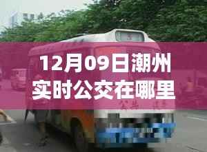 潮州实时公交查询指南,初学者到进阶用户全掌握,12月09日最新乘车信息一览
