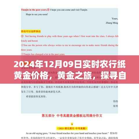 农行纸黄金价格动态，黄金之旅与美景的奇妙碰撞