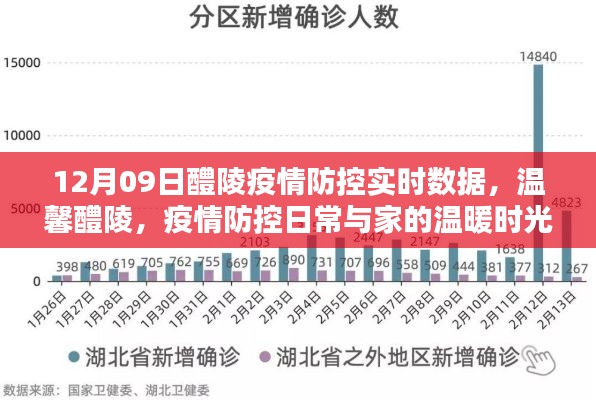 疫情防控下的温馨醴陵,实时数据与家的温暖时光