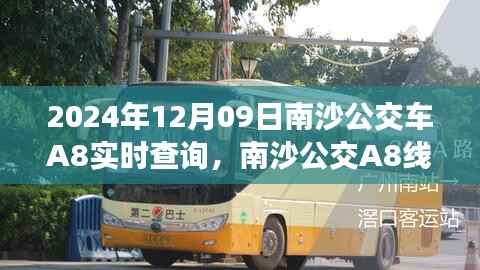 南沙公交A8线背后的暖心故事,与时间的约会,实时查询指南(2024年12月09日)