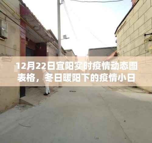 宜阳实时疫情动态图表格,冬日暖阳下的温情故事与日常更新