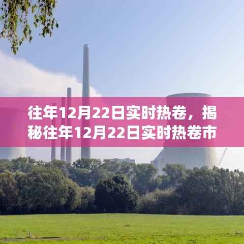 揭秘往年12月22日实时热卷市场动态,深度解析与未来趋势展望