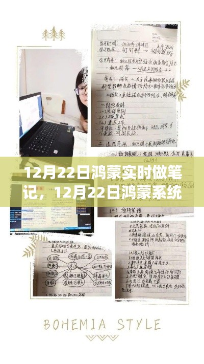 12月22日鸿蒙系统实时笔记,观点阐述与个人立场