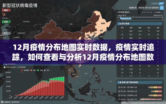 12月疫情分布地图实时数据追踪及分析指南