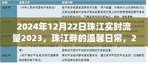 珠江畔的温馨日常与流水见证的友情盛事(2024年12月22日)