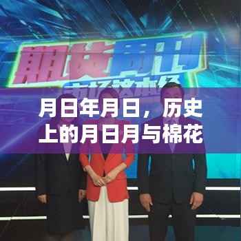 历史月日月与棉花期货实时价格走势