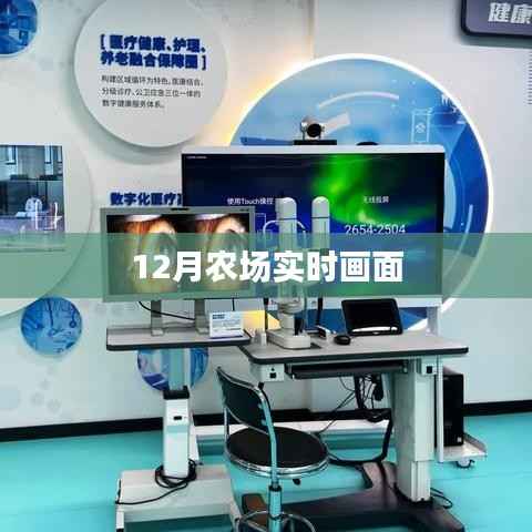 农场12月实时景象