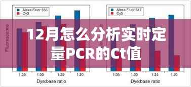 实时定量PCR的Ct值分析指南,解读十二月数据