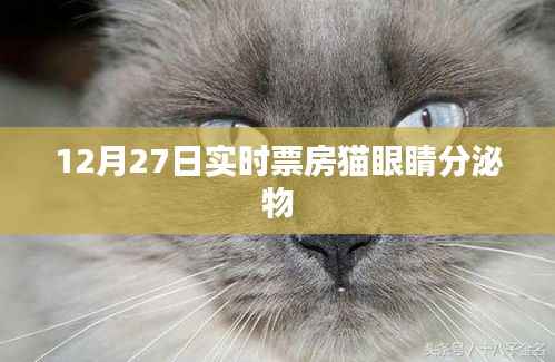猫眼实时票房数据更新,猫眼睛分泌物话题热议