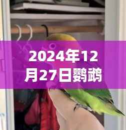 广州鹦鹉天气实时播报，2024年12月27日天气展望