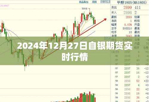 最新!自银期货行情动态,实时掌握市场动态