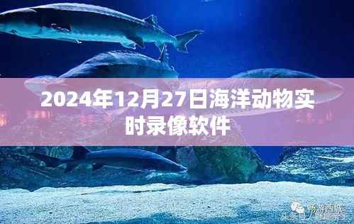 2024年海洋动物实时录像软件,记录深海奇观