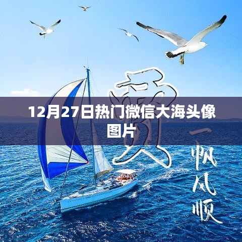 微信热门大海头像图片,12月精选推荐