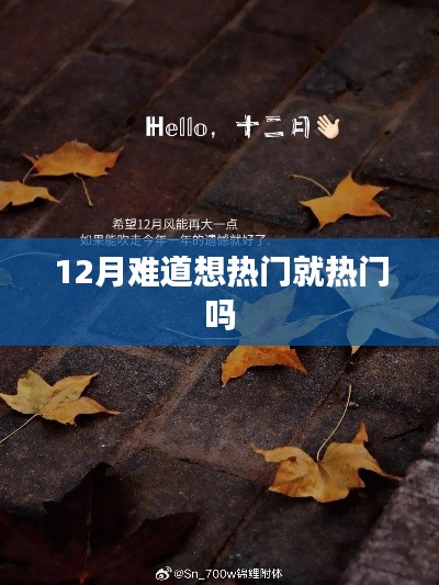 揭秘热点背后的秘密,为何十二月更易走红?