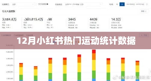 小红书运动数据榜单出炉,揭秘十二月热门运动风潮
