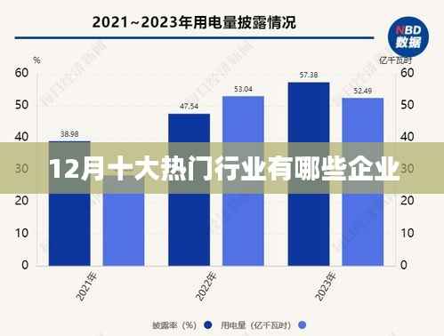 揭秘十二月热门行业领军企业