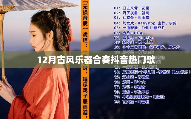 抖音热门古风乐器合奏,12月古风音乐盛宴