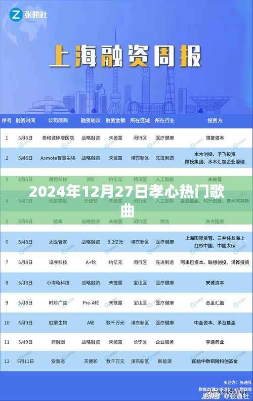 孝心永恒,2024年热门歌曲回顾