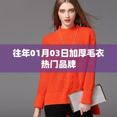 『01月精选，热门加厚毛衣品牌』