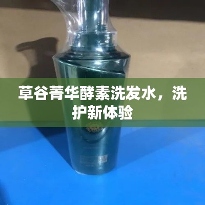 草谷菁华酵素洗发水,全新洗护体验