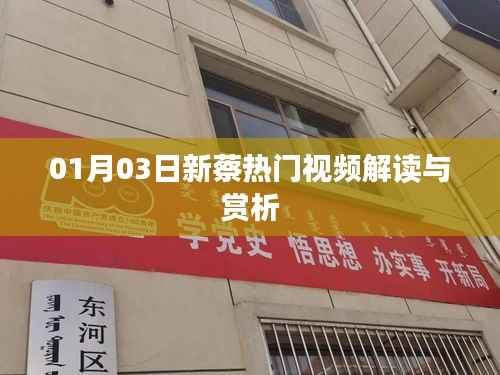 新蔡热门视频解读与赏析，最新解读报告出炉