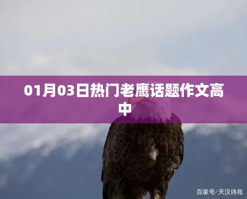 热门老鹰话题作文，高中生的视角与感悟