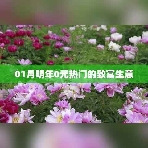 明年元月热门致富生意,零元起步,轻松赚钱!