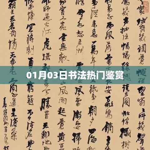 书法鉴赏热点，精选佳作赏析（日期，01月03日）