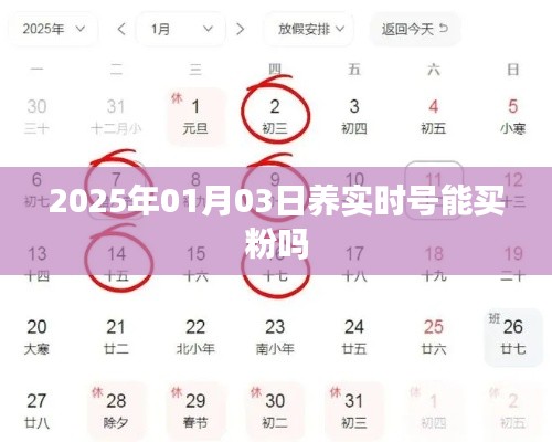 实时号买粉指南，2025年养号能否实现买粉增长？
