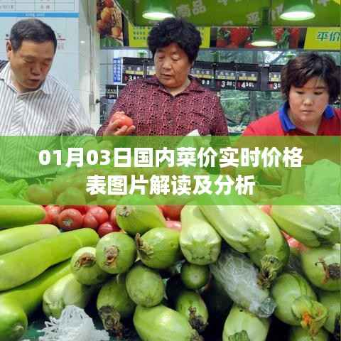 最新国内菜价实时价格表图片解读与分析
