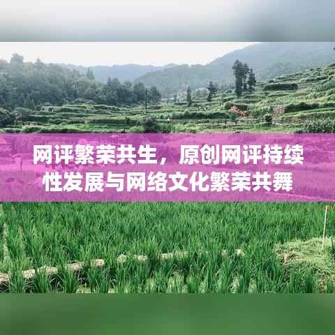 网评繁荣共生,原创网评持续性发展与网络文化繁荣共舞