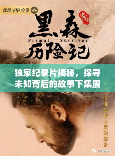 独家纪录片揭秘，探寻未知背后的故事下集震撼来袭！