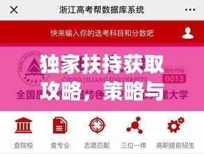 独家扶持获取攻略,策略与行动指南助你成功!