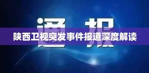 陕西卫视突发事件报道深度解读