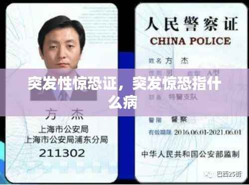 突发性惊恐证,突发惊恐指什么病