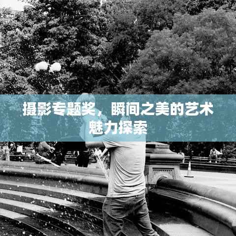 摄影专题奖,瞬间之美的艺术魅力探索