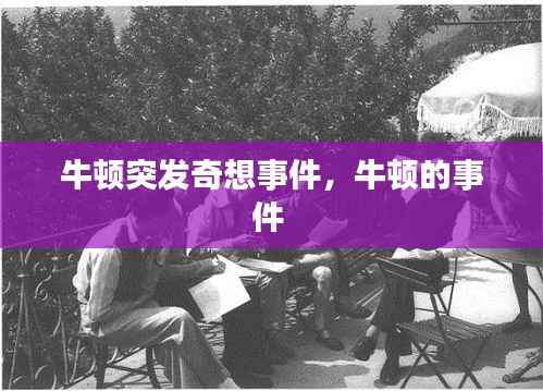 牛顿突发奇想事件,牛顿的事件