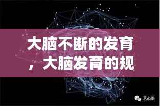 大脑不断的发育,大脑发育的规律